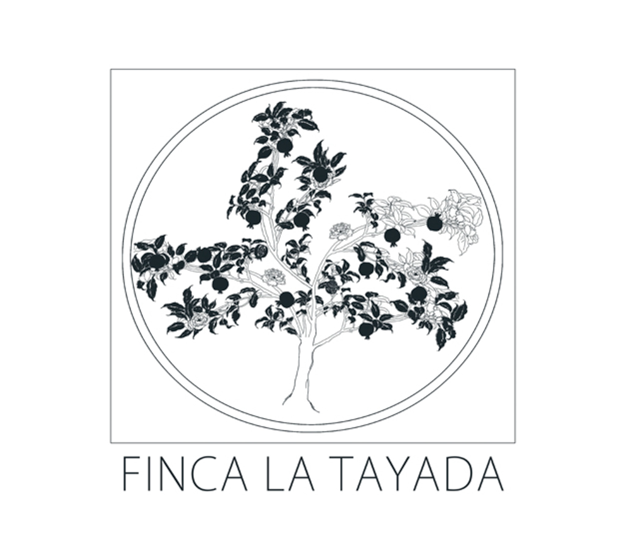 LaTayada-logo-white-gal627-2